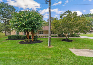 1_2-web-or-mls-DSC05542